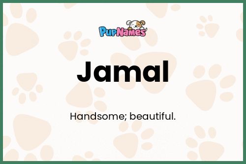 Jamal dog name meaning