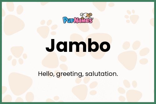 Jambo dog name meaning