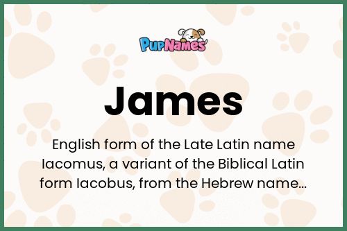 James dog name meaning