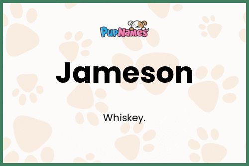 Jameson dog name meaning