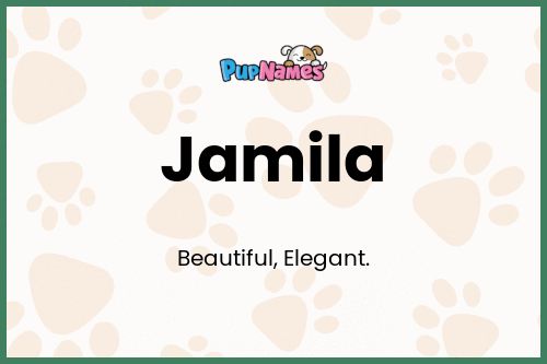 Jamila dog name meaning