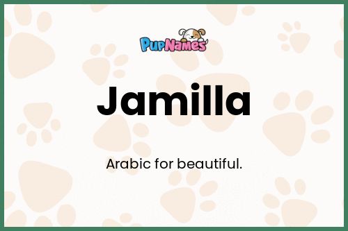 Jamilla dog name meaning