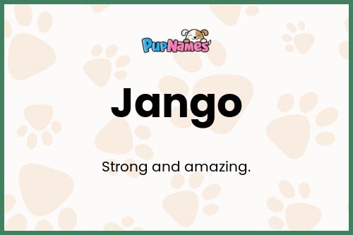 Jango dog name meaning