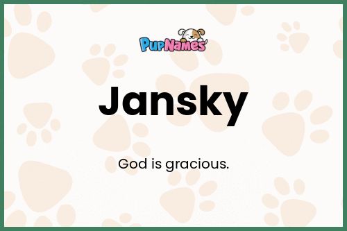 Jansky dog name meaning