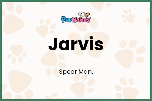 Jarvis dog name meaning