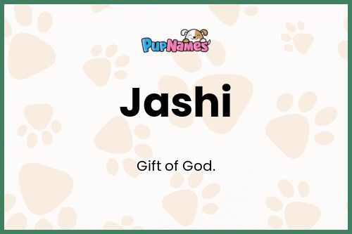 Jashi dog name meaning