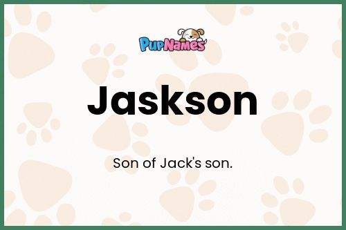 Jaskson dog name meaning