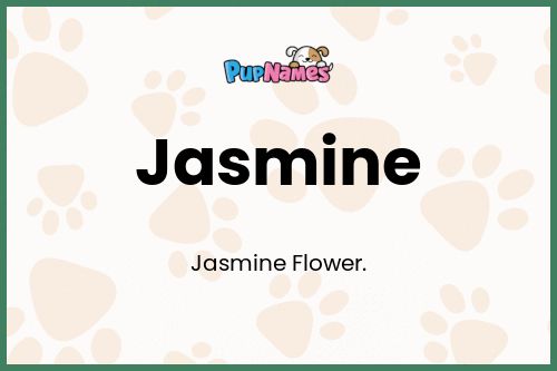 Jasmine dog name meaning