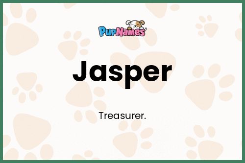 Jasper dog name meaning