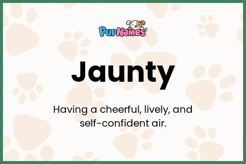 Jaunty dog name meaning