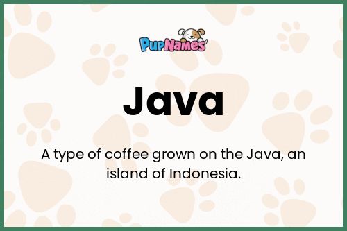 Java dog name meaning