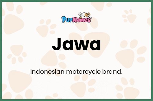 Jawa dog name meaning