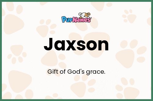 Jaxson dog name meaning