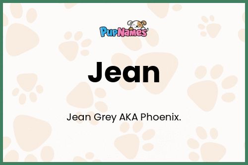 Jean dog name meaning