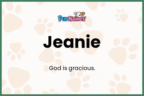 Jeanie dog name meaning