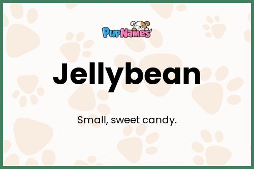 Jellybean dog name meaning