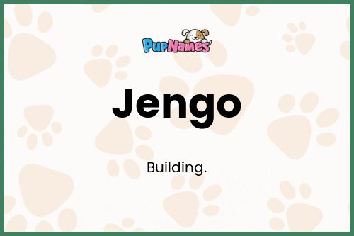 Jengo dog name meaning