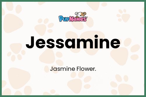 Jessamine dog name meaning