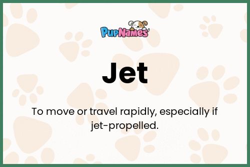 Jet dog name meaning