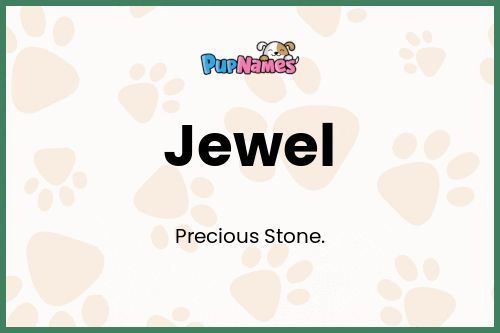 Jewel dog name meaning