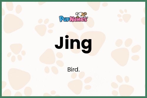 Jing dog name meaning