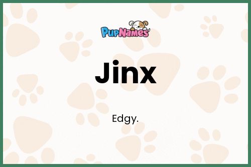 Jinx dog name meaning