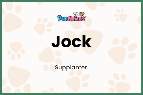 Jock dog name meaning