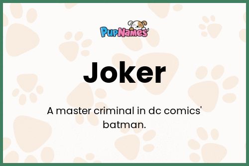 Joker dog name meaning