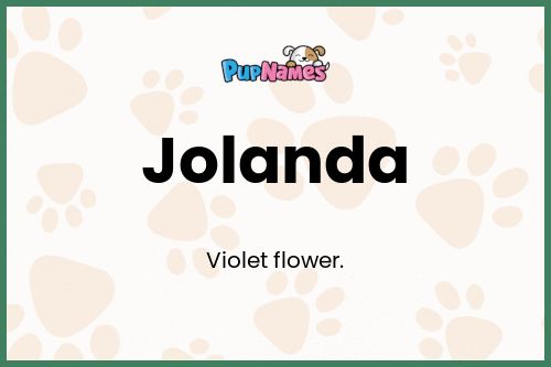 Jolanda dog name meaning