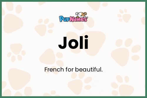 Joli dog name meaning