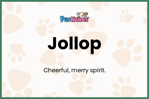 Jollop dog name meaning