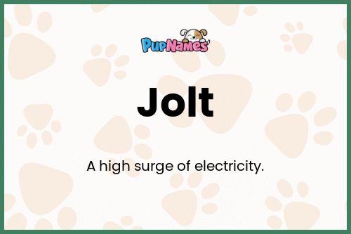 Jolt dog name meaning