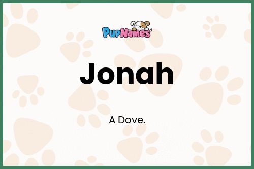 Jonah dog name meaning