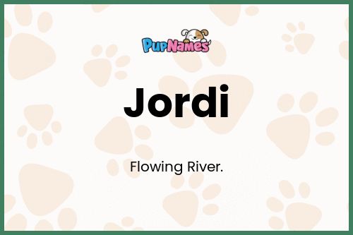 Jordi dog name meaning