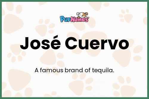 José Cuervo dog name meaning