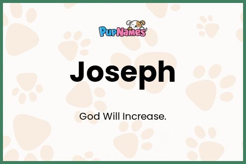 Joseph dog name meaning