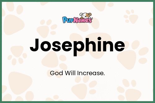 Josephine dog name meaning