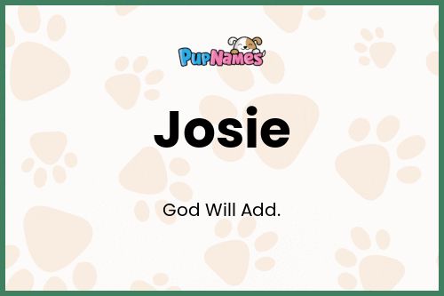 Josie dog name meaning
