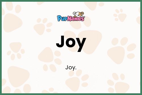 Joy dog name meaning