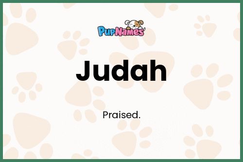 Judah dog name meaning