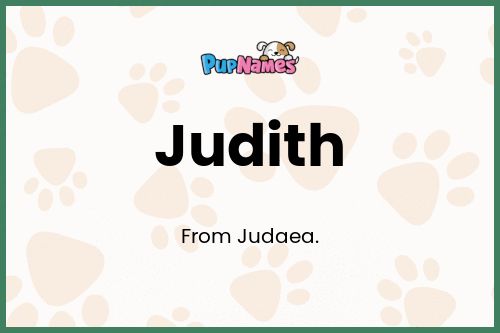 Judith dog name meaning