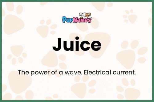 Juice dog name meaning