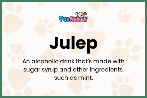 Julep dog name meaning