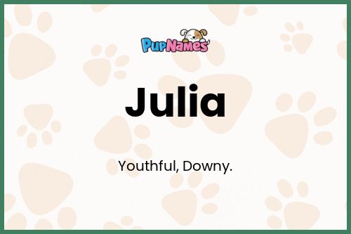 Julia dog name meaning