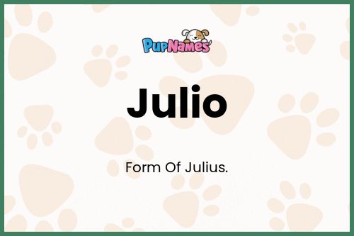 Julio dog name meaning