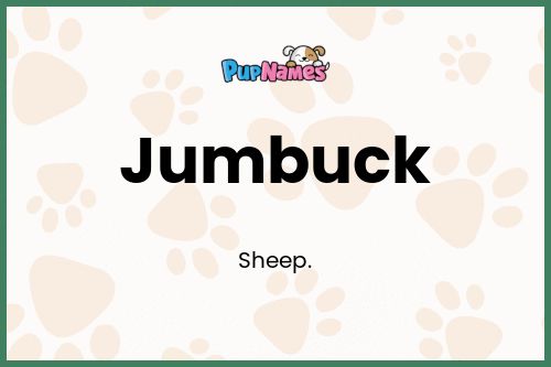 Jumbuck dog name meaning