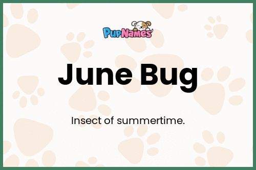 June Bug dog name meaning