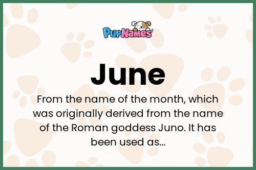 June dog name meaning