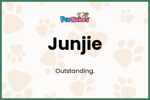 Junjie dog name meaning