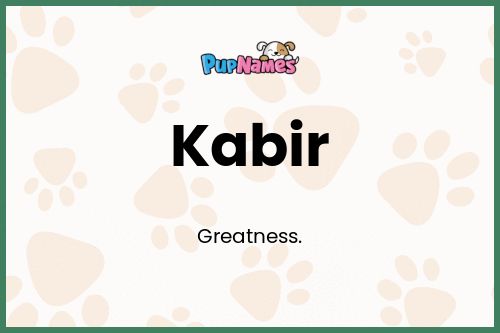 Kabir dog name meaning